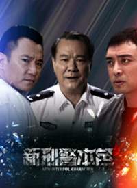新刑警本色海报